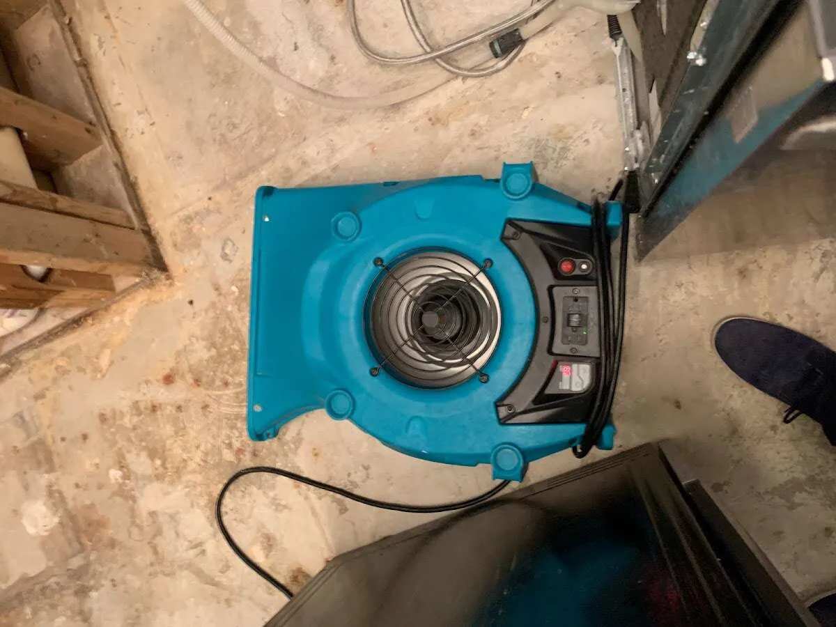 Air mover drying equipment for Mold Remediation & Removal in DeForest